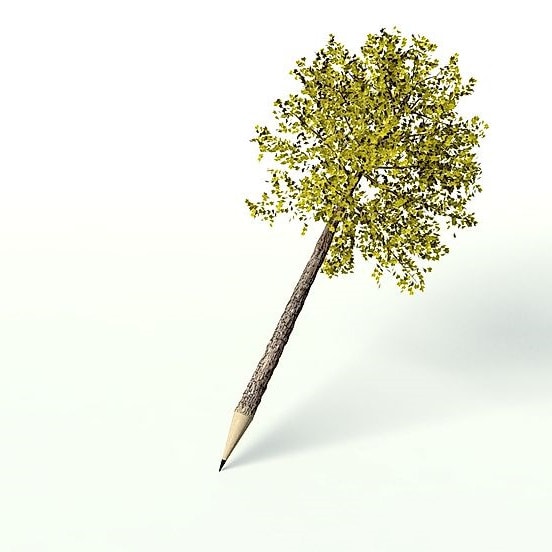 How Many Pencils Can A Tree Make